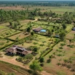 rural